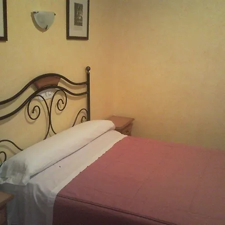 Rio Ara Bellosta By Vivere